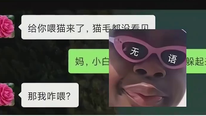 猫猫：伸出的爪子，是我最后的外向