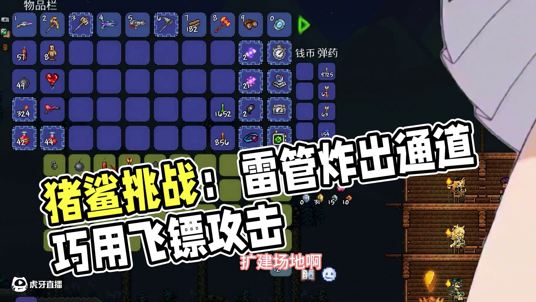 #泰拉瑞亚 第八期|猪鲨：寸止吗？呵！有意思~#模组 #更多的飞镖枪