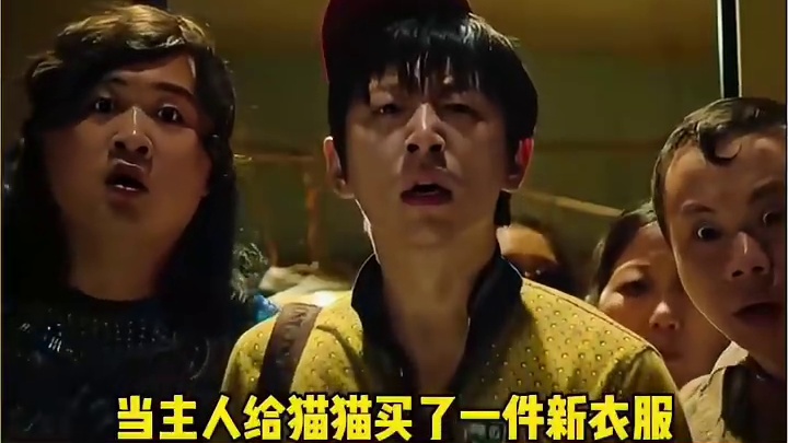 主人根本没怀疑是猫的问题