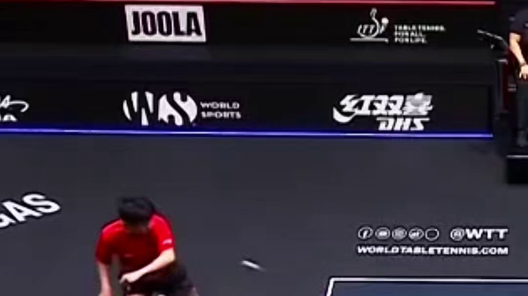 张本智和4-3击败林诗栋，晋级决赛将对战王楚钦！