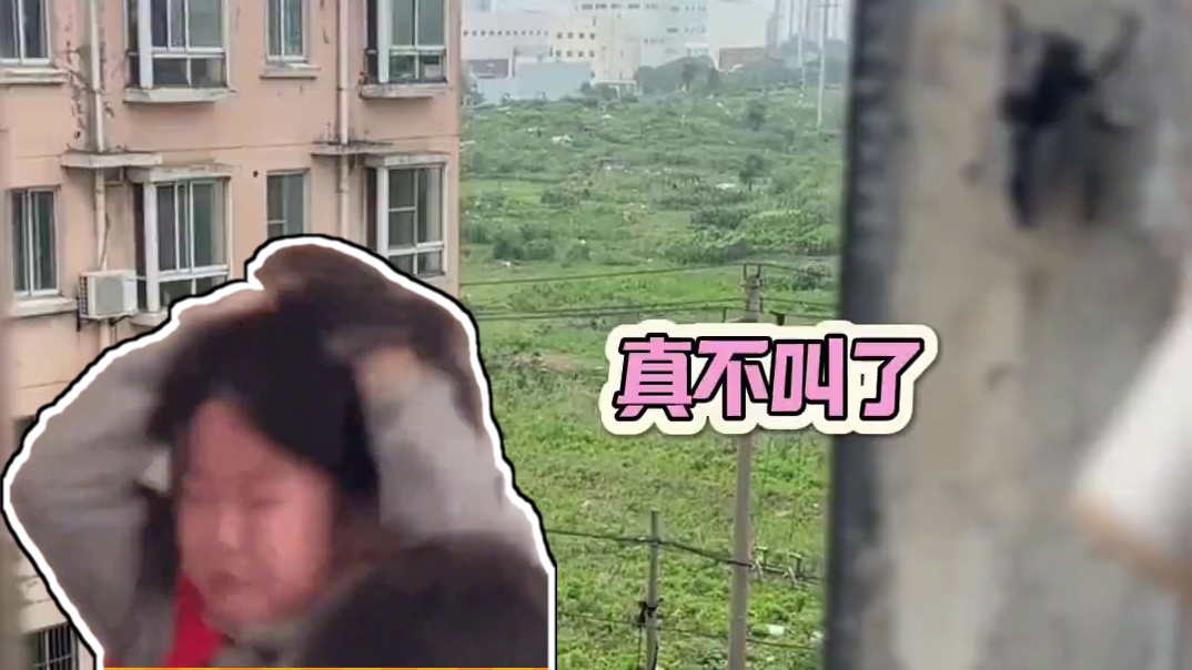 蝉：你知道的 我出生就没有妈妈 #娱乐评论大赏 #万万没想到 #搞笑 #蝉 #离谱