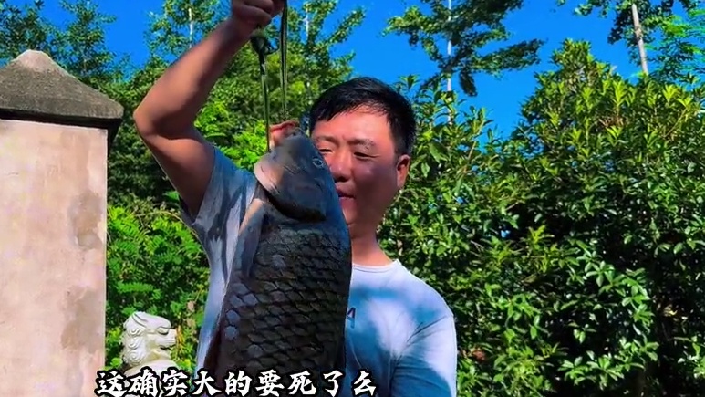 十斤大鲤鱼煎香后炖松树菌，香辣入味，下酒真爽！ #我的乡村生活 #人间烟火 #新农人计划2025 #