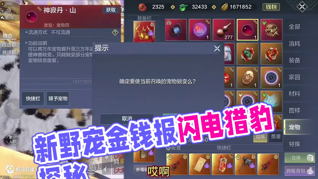 这就有赌新野宠闪电金豹的了？还是24满偏转直升五万年 还有个24的猫头鹰也一起来凑热闹#妄想山海 #