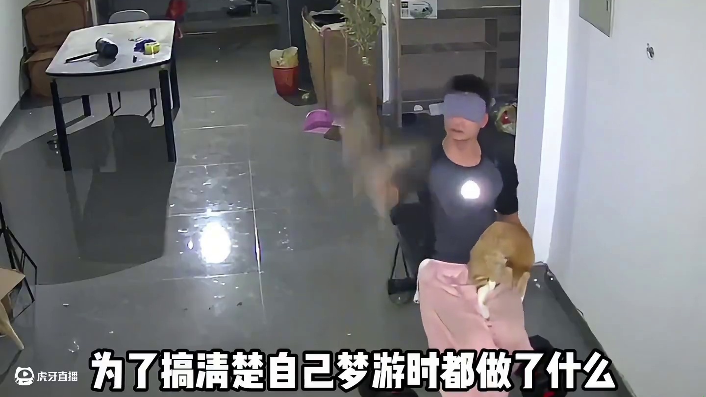 这哪是梦游，分明是被顶号了