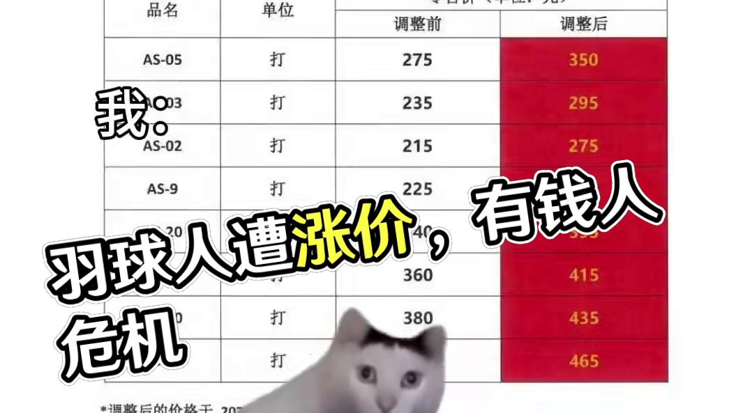 真把羽球人当有钱人啊 #羽毛球#羽毛球涨价