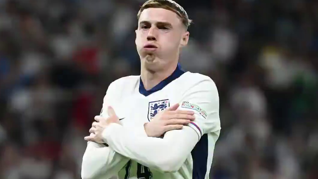 帕尔默这推杆式射门最折磨守门员