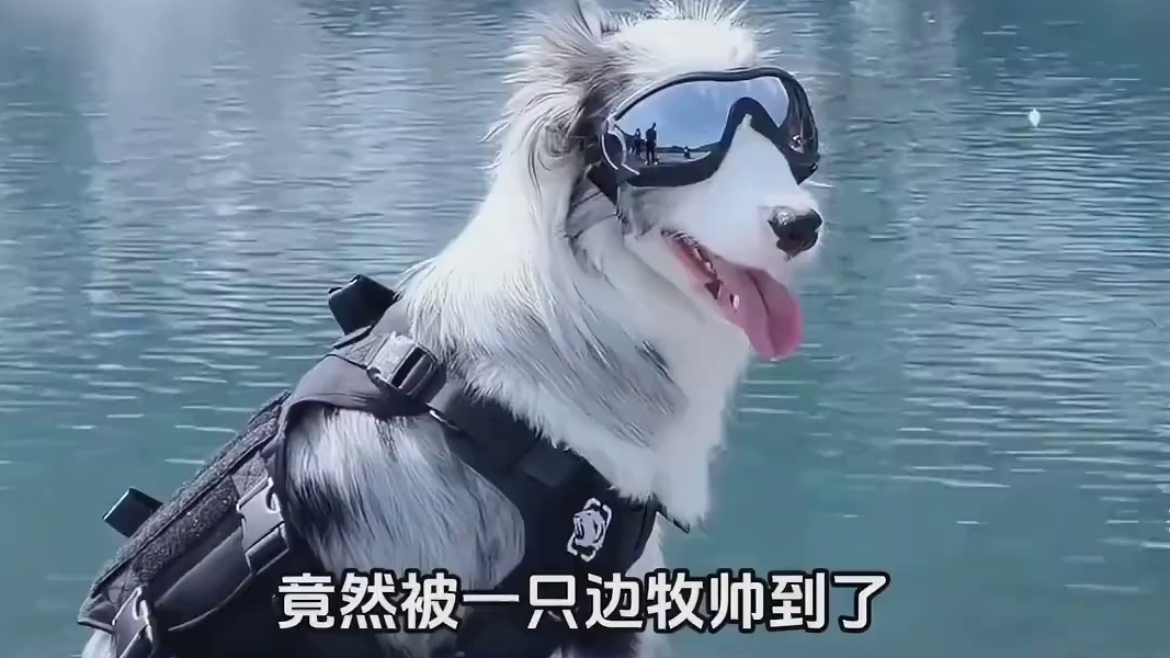 先不溜你了，给它能的