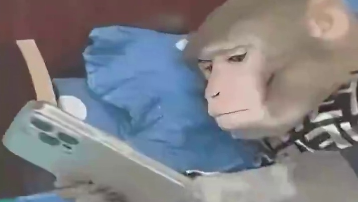 网友还是太团结了