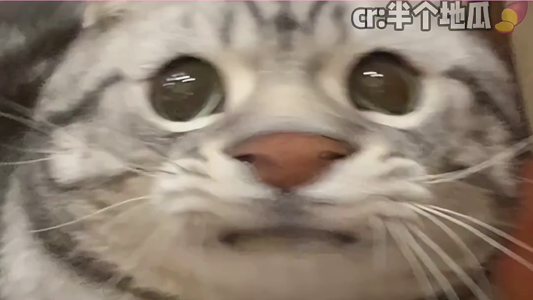 初中男生无痛当妈