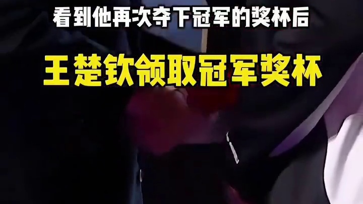 为何只有王楚钦被称为外协“白月光”？看到屡战屡败的张本智和，你就知道答案了 #张本智和 #王楚钦夺冠