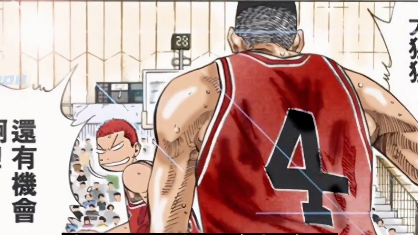 樱木学会了飞翔，落地却折断了翅膀，流川枫心疼了