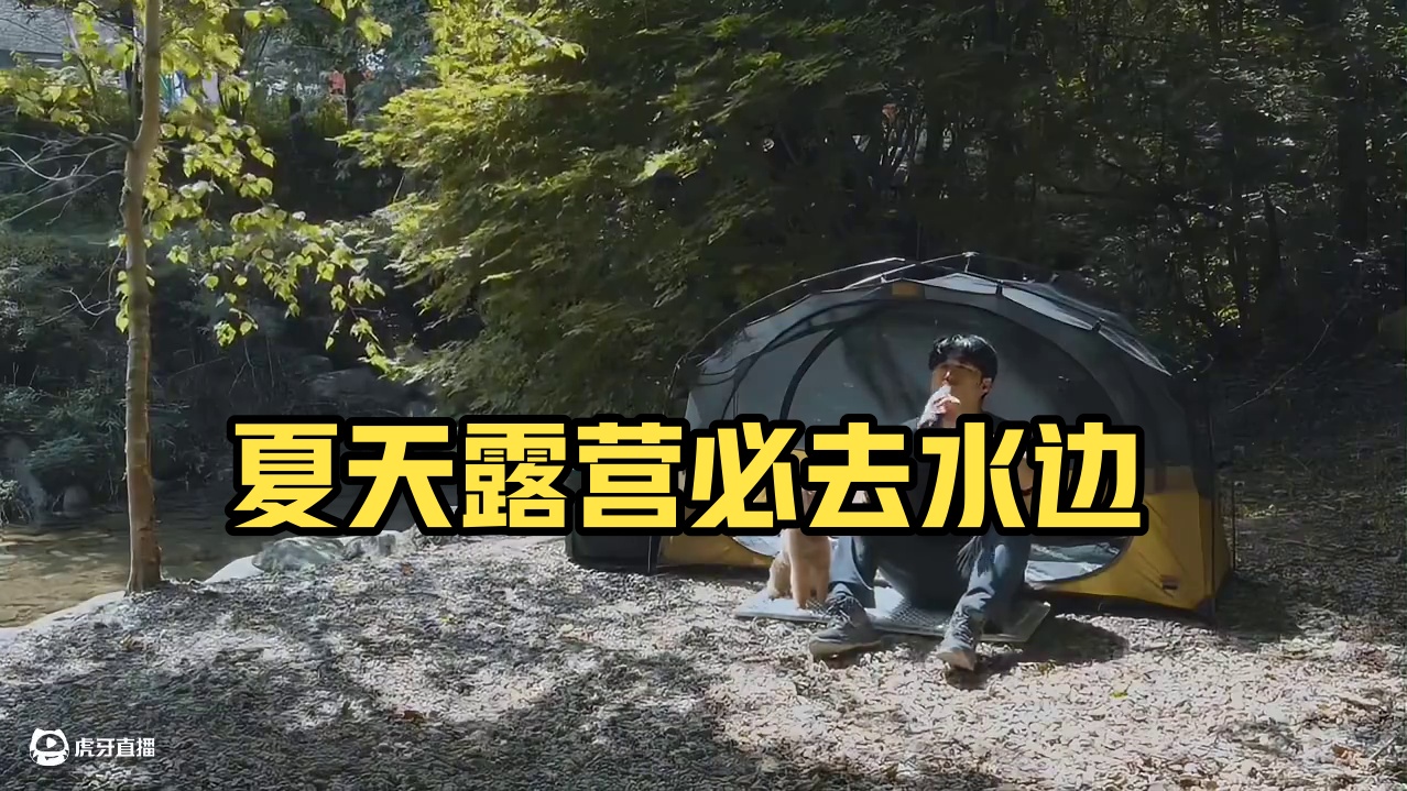 萌宠露营（一）夏天露营就要去有水的地方~#露营 #助眠 #解压 #萌宠 #一起去露营