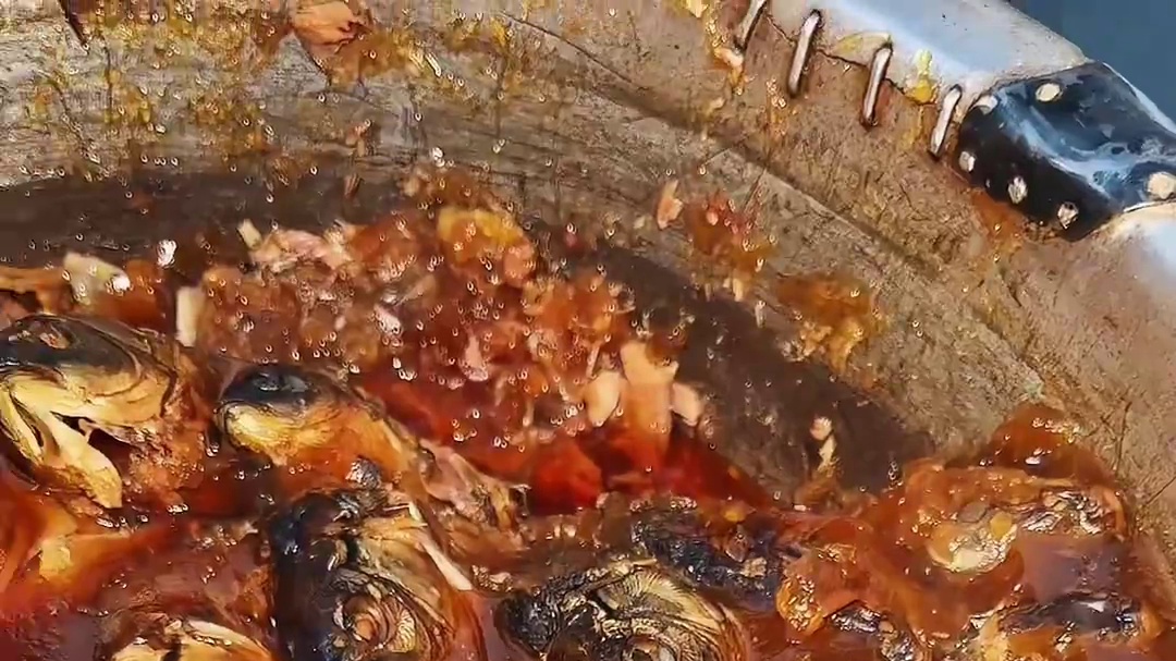 菏泽街头糟鱼12一斤，这种吃法很特别