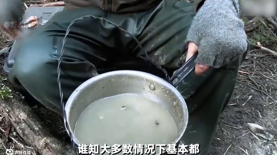 荒野独居澳洲版的选手太逆天了，每天都过着三天饿九顿的生活 #荒野求生 #野外生存 #户外 #纪录片 