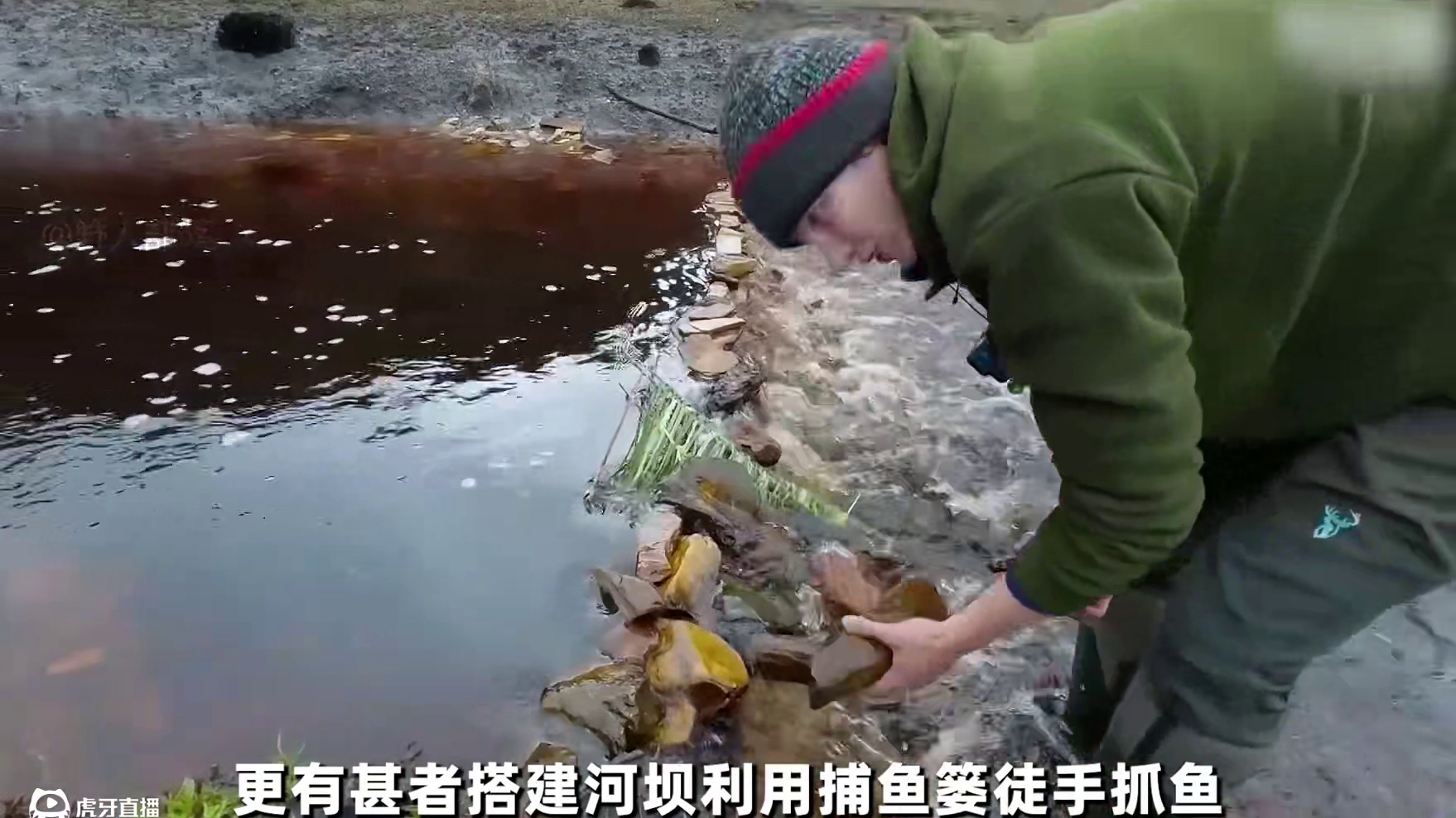 荒野独居澳洲版又迎来全新一集，大佬钓到一米长的肥美大鳗鱼 #荒野独居 #野外生存 #户外 #荒野求生