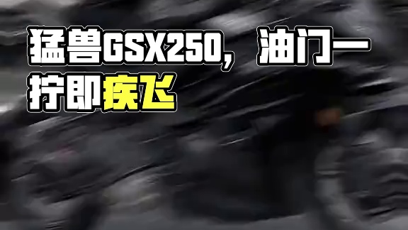 “油门一拧，猛兽出笼！” #gsx250