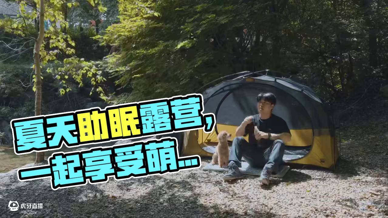 萌宠露营（全集）夏天露营就要去有水的地方~#露营 #助眠 #解压 #萌宠 #一起去露营