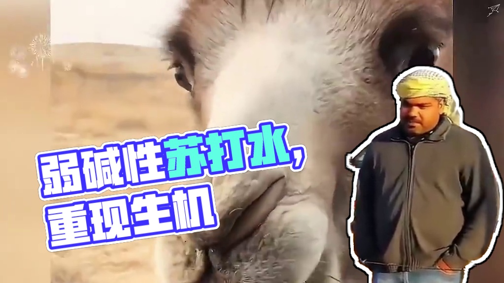 来自长寿之乡巴马的弱碱性苏打水。#苏打水 #多喝水 #水