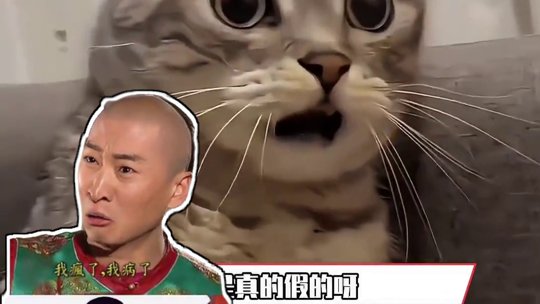 陕西你在高温这块还是太权威了#陕西 #陕西高温位居全国榜首 #高温 #万万没想到