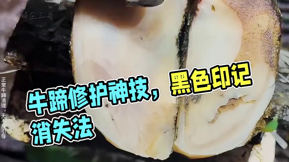 夏日炎炎，牛汁超甜，这可又被你赶上了我的好兄弟 #解压 #修牛蹄 #助眠 #强迫症 #极度舒适