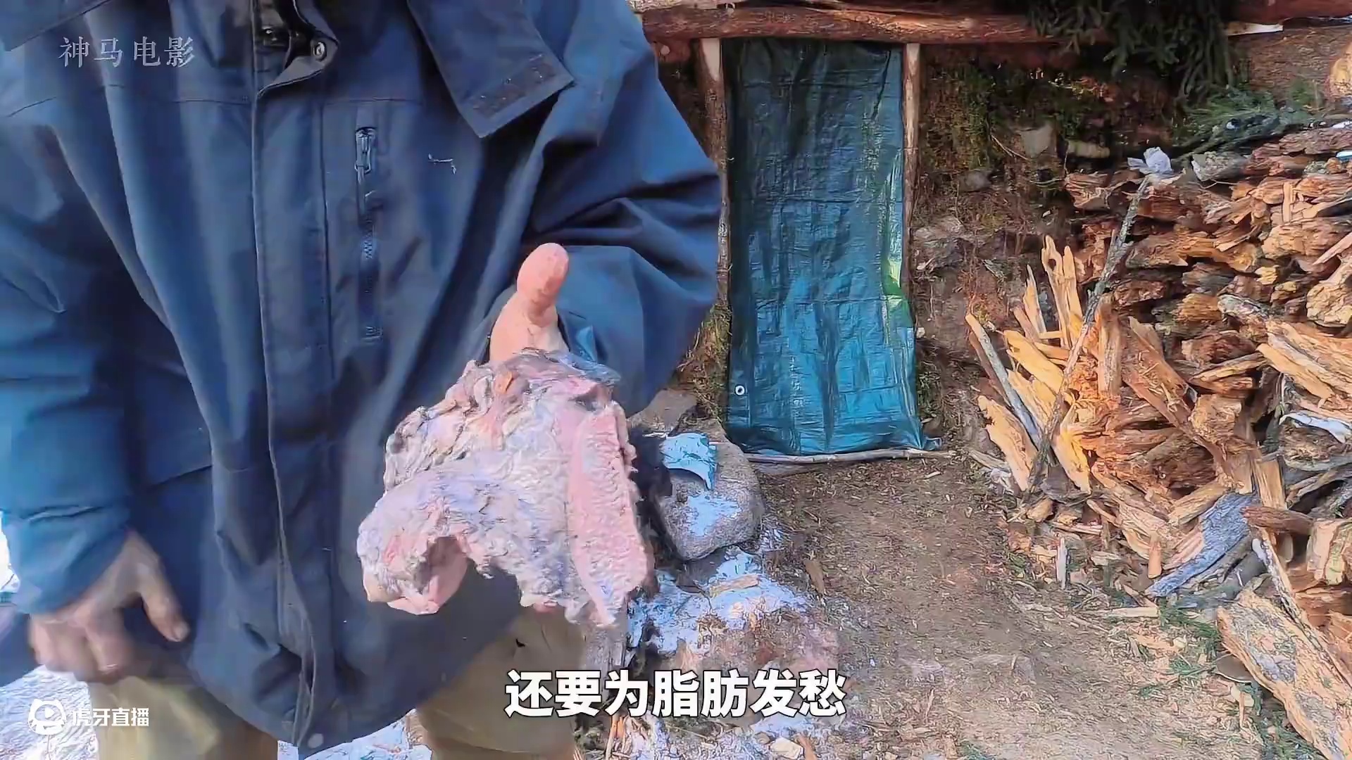 罗兰刮麝牛头皮脂肪熬汤，凯琳冰钓两条湖鳟，阿莫斯遭群狼包围 #荒野独居 #荒野求生 #野外生存