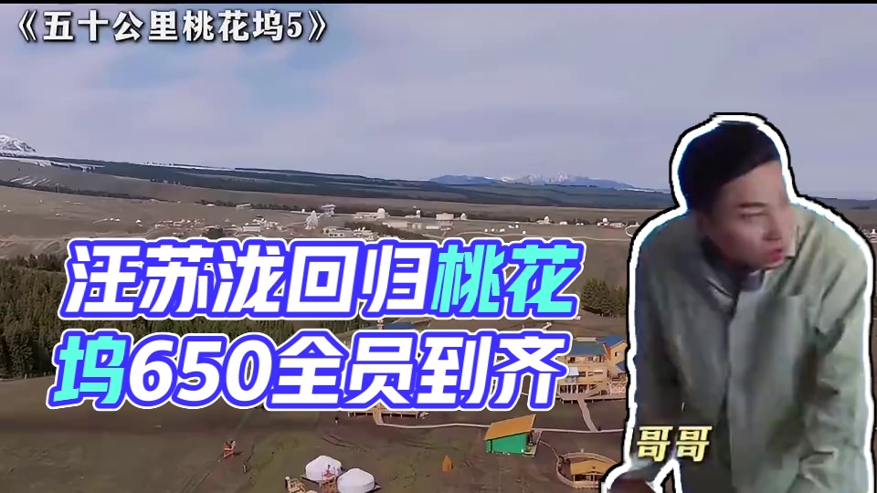 汪苏泷回归桃花坞，650全员到齐！