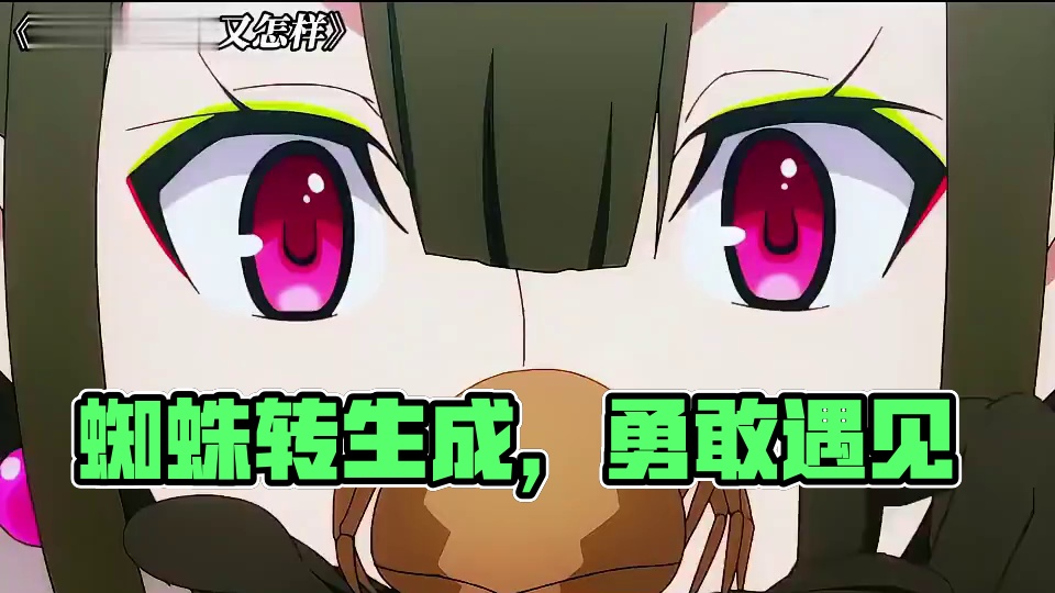 身体部长:我超勇的 #转生成蜘蛛又怎样#动漫推荐#每周B看