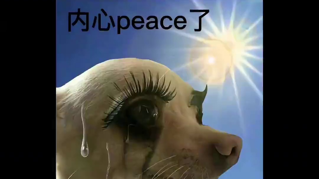 高温天出来玩，我宣布《只有河南》才是酷暑旅游的最优解！ #河南  #旅游  #只有河南戏剧幻城 #只