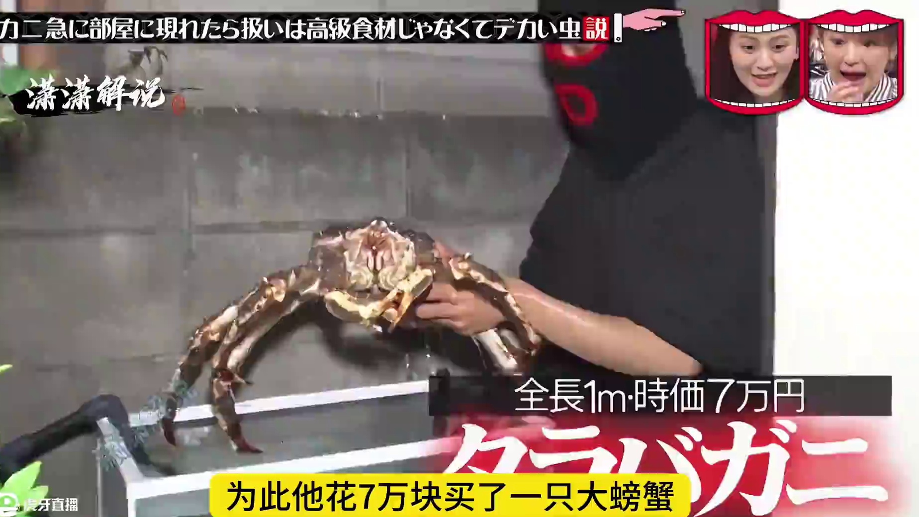 如果回家发现地上有只帝王蟹该怎么办呢。 #这谁顶的住啊 #奇葩综艺 #综艺搞怪