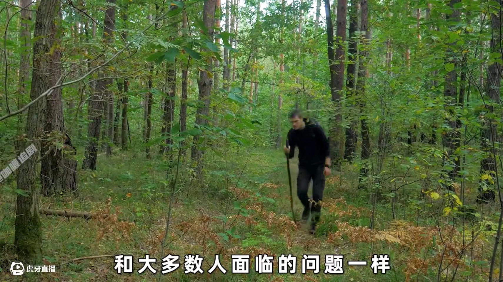 一口气看完男人在野外搭建豪华木屋，以及户外厨房和桑拿房的全过程#荒野建造 #野外生存 #徒手建造房屋