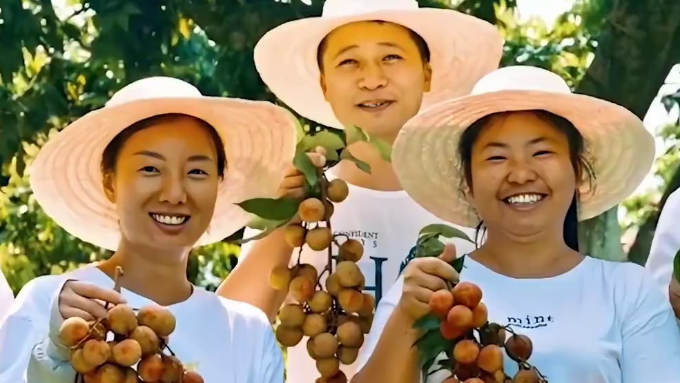 #四川合江有多爱荔枝  “让世界爱上合江荔枝”在合江这，绝不是一句简单的slogan#荔枝 #合江