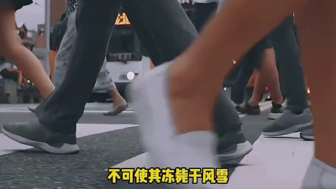 赌上自己的前途，换学术界之正义