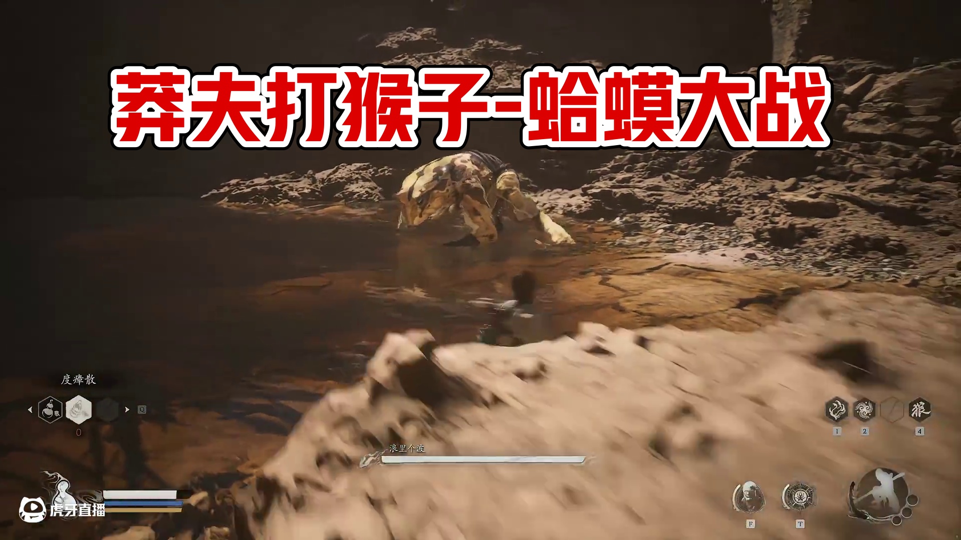 莽夫打猴子-第二章-蛤蟆-浪里个波