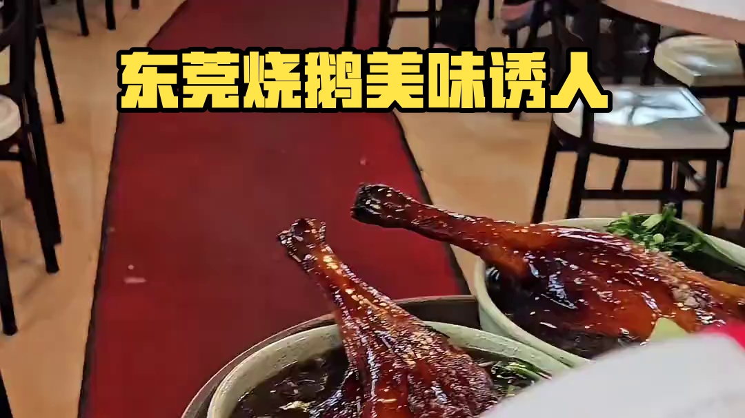 吃不吃东莞的烧鹅濑！