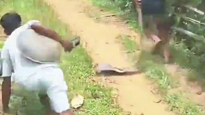 整蛊被吓一跳瞬间，真是笑岔了#搞笑视频 #整蛊玩具