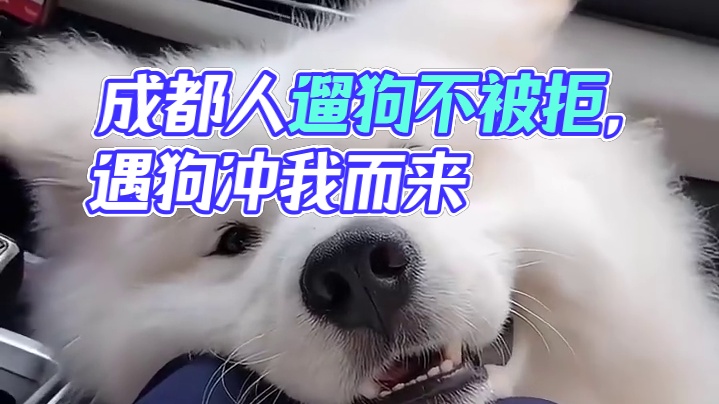 有没有四川的友友说说这是不是真的