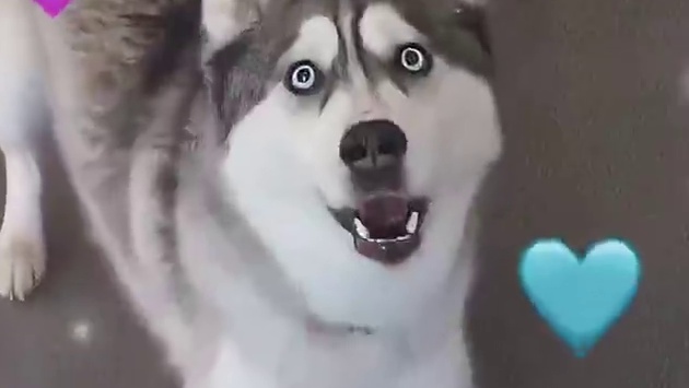 双方都不清楚自己的实力