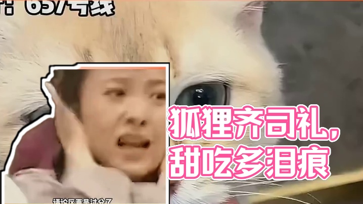 狐狸齐司礼会有泪痕吗