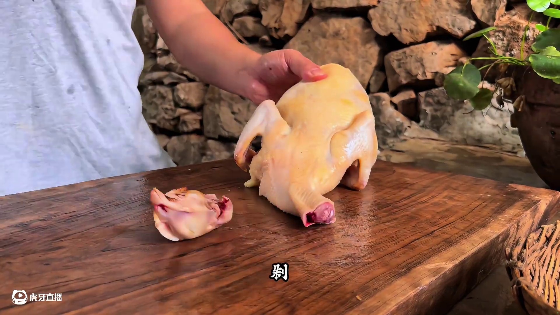 现抓土鸡做尖椒鸡，土辣椒一放，瞬间流口水了！ #我的乡村生活 #下饭菜 #人间烟火 #