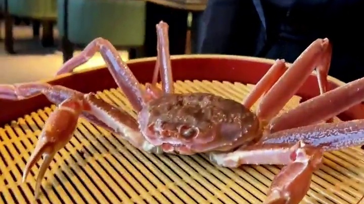 怪不得“从此君王不早朝”，也算是体会到了皇帝的快乐#美食探店 #皇帝的快乐 #敦煌飞天 #御姐 #御