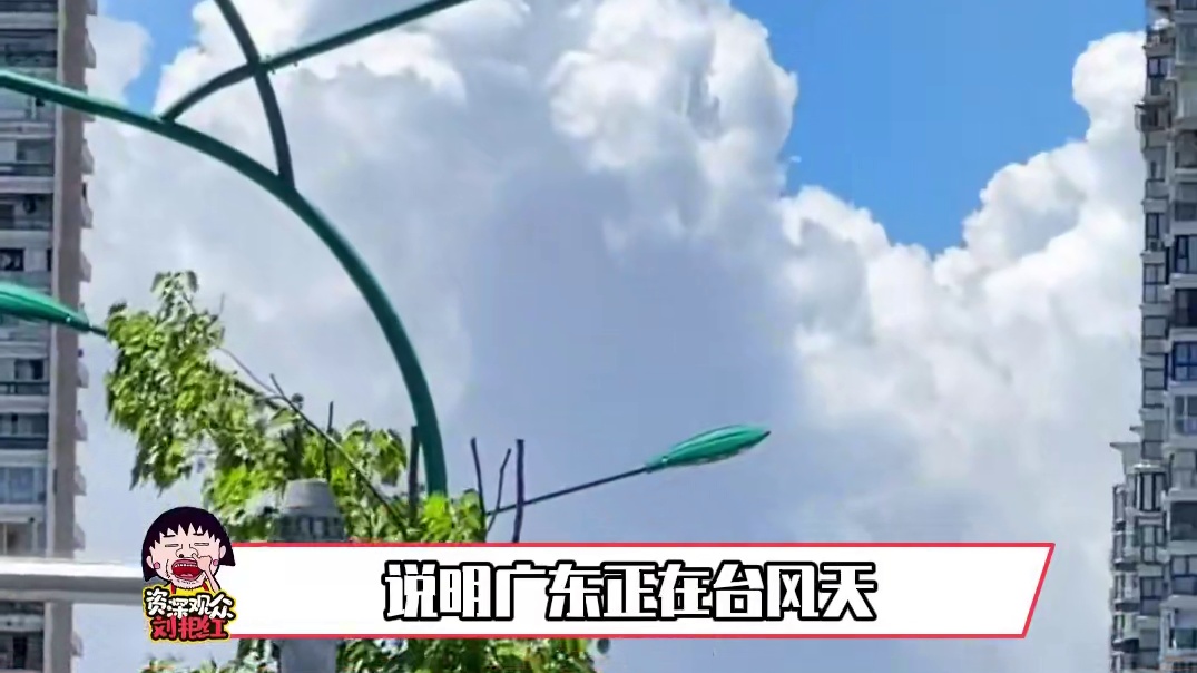 广东的朋友你们还好吗 #江浙沪 #广东 #天气 #台风