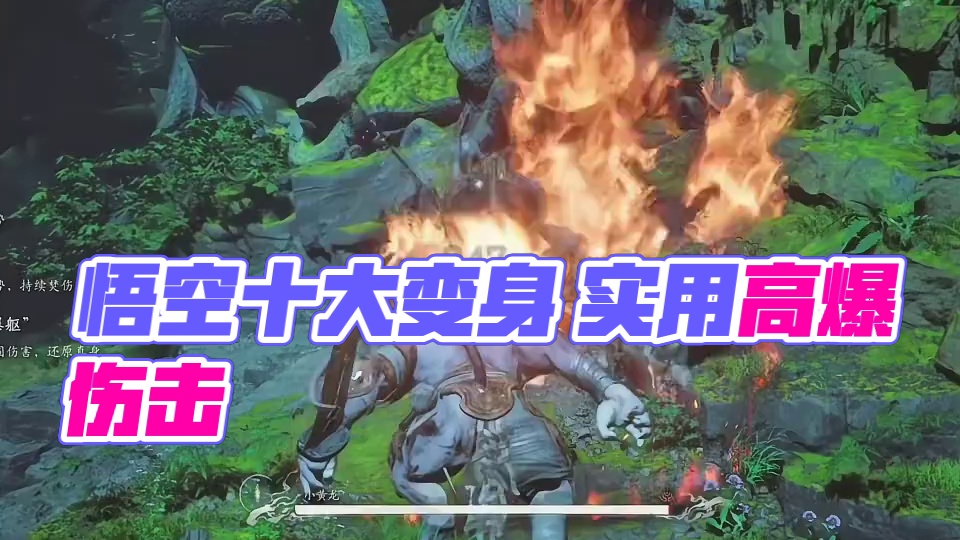 黑神话悟空 十大变身 谁才是你心中的no.1 .. #关于黑神话我有自己的玩法 #黑神话的故事没有那