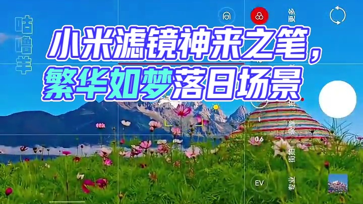 小米的繁花如梦滤镜完全就是神来之笔~~#小米 #繁华如梦 #滤镜 #徕卡光学