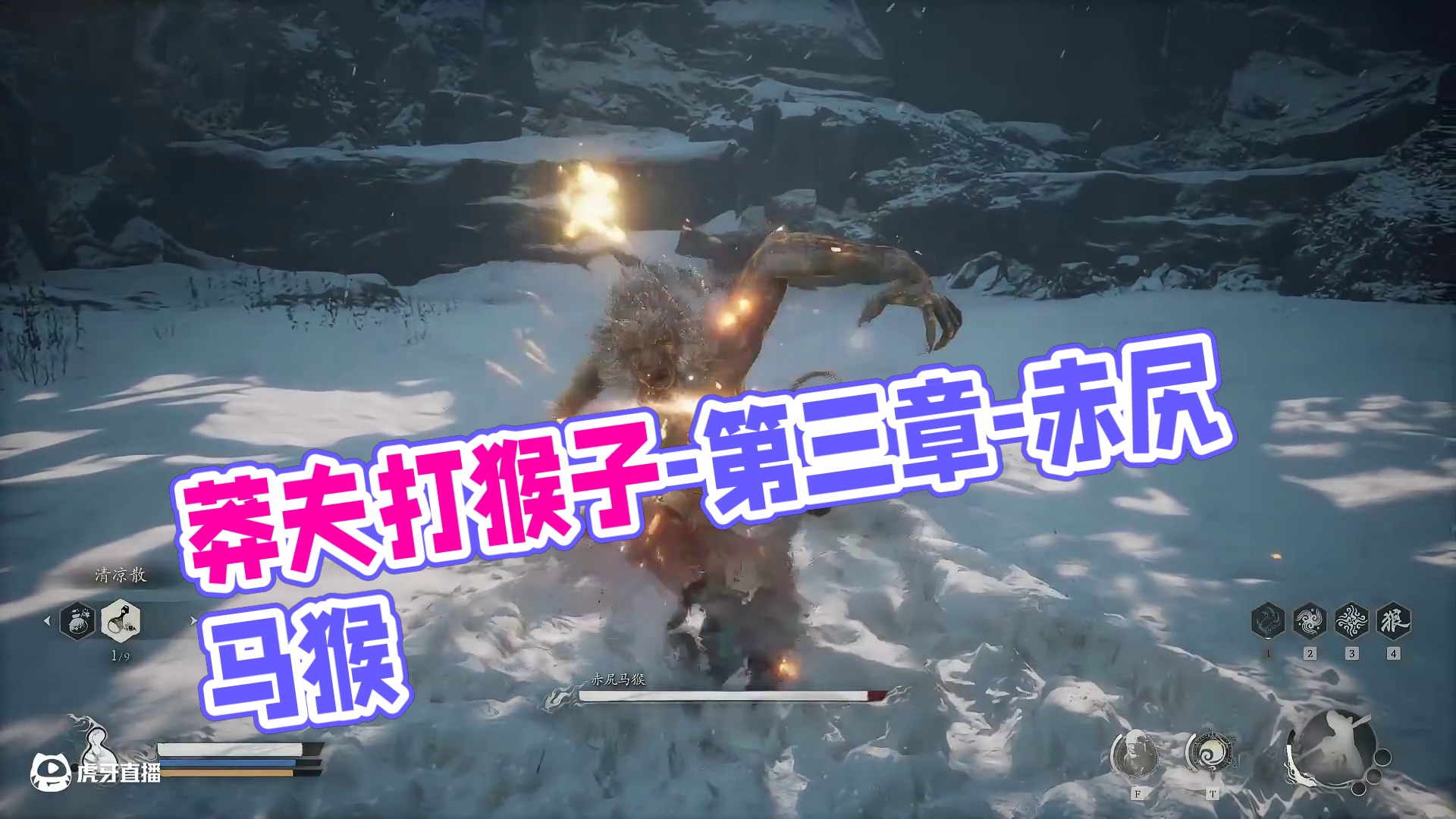 莽夫打猴子-第三章-赤尻马猴