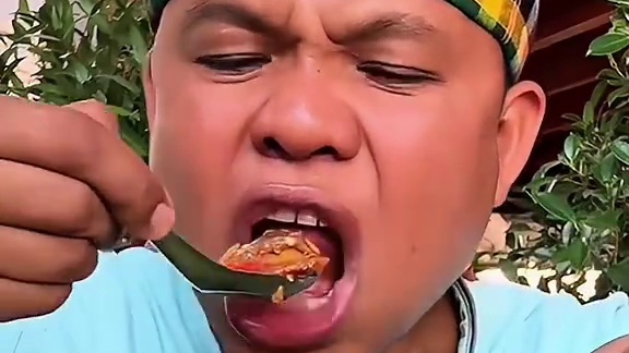 剁椒辣酱️新鲜大毛蛤 #美食 #户外美食 #泰国美食 #内容启发搜索