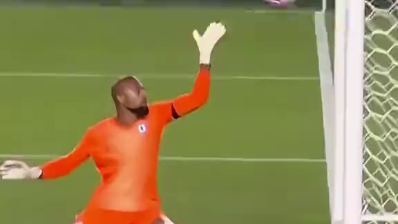 这下验货合格了吧~18岁埃斯特旺小角度爆射破门，帮...