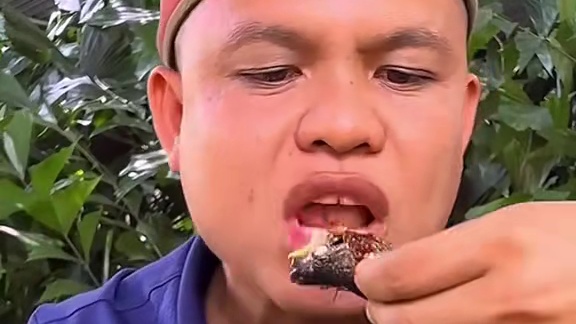 辣椒酱️咖喱炖蛋蛋蛙 #美食 #户外美食 #泰国美食 #内容启发搜索