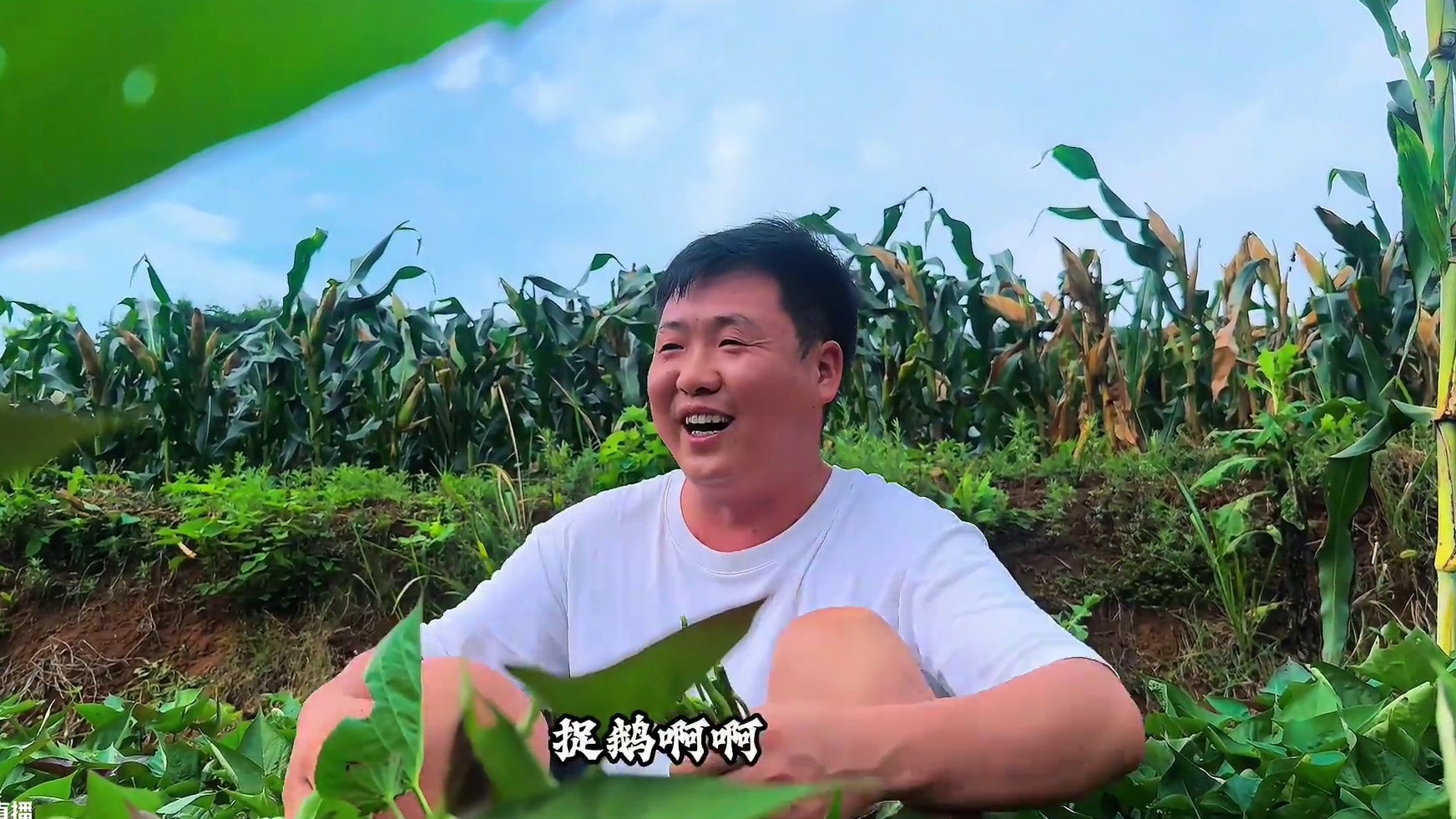 农村铁锅炖大鹅，小火慢炖两小时，好吃舔骨头！ #我的乡村生活 #我的乡村凉方 #新农人计划2025 