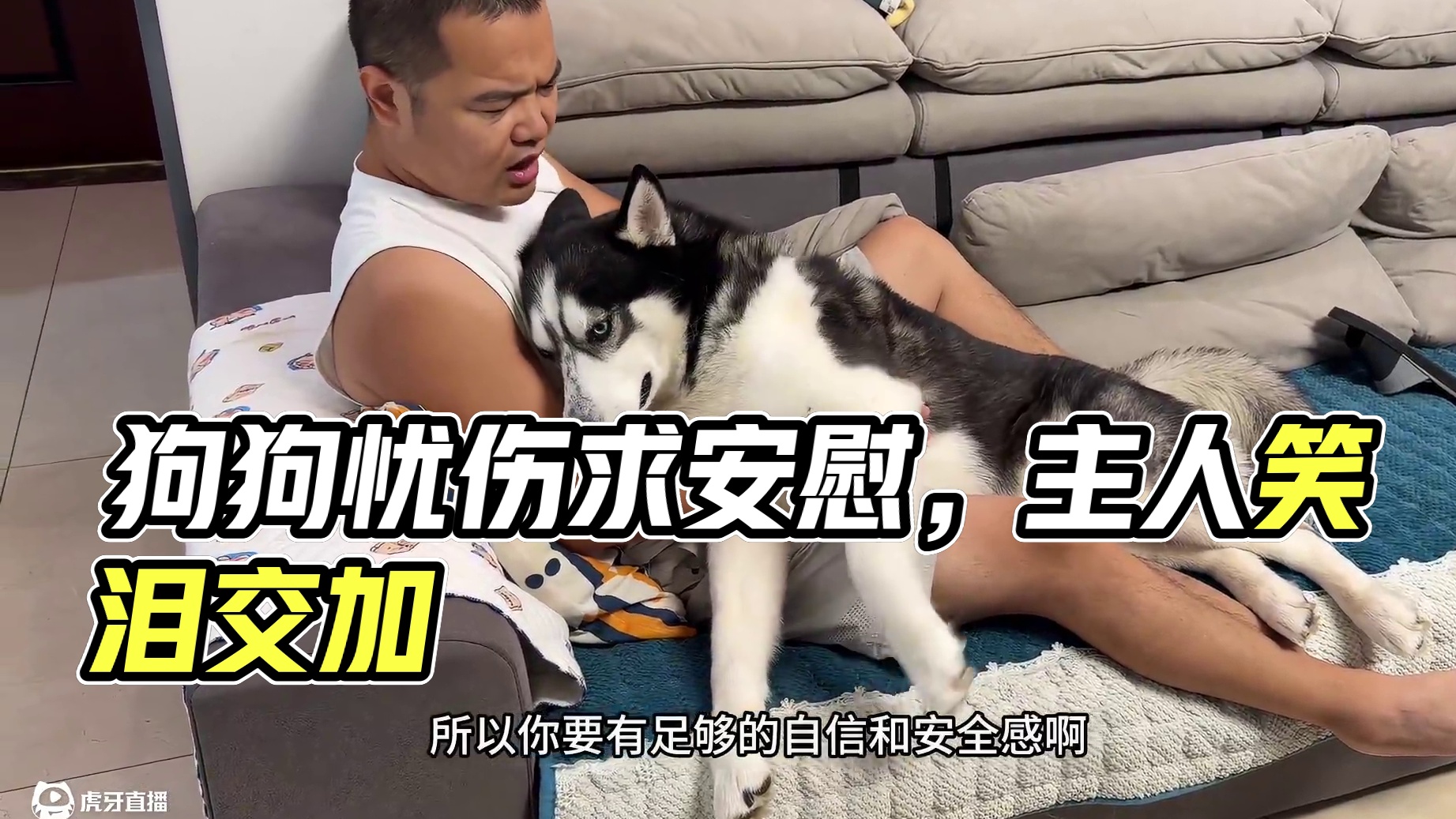 狗狗以为主人不要它了，居然跑到主人怀里哭了起来，看一遍笑一遍 #萌宠出道计划 #我和我的狗 #动物的