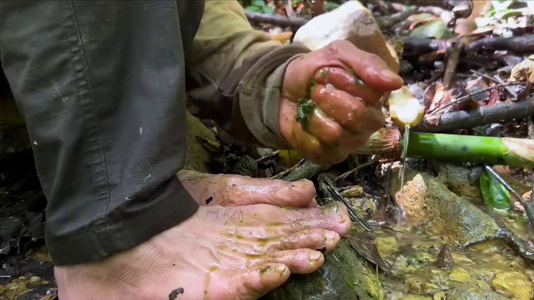 男人独自挑战雨林生存365天 #荒野生存 #荒野求生